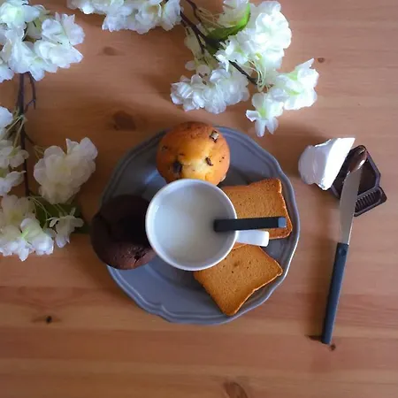 Bed and breakfast Policlinico Gaspare Rodolico CTA